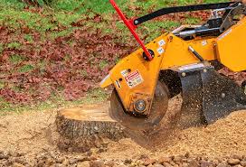 Best Tree Cabling and Bracing  in Bakersfield, CA